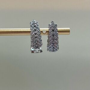 Elegant Silver Hoop Earrings